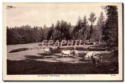 Cartes postales Folklore Creuse Scene de paturage Vaches