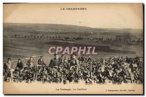 Cartes postales Folklore Vin Vendange Champagne La cueillette