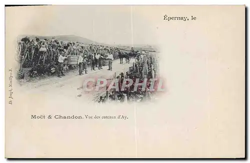 Cartes postales Folklore Vin Vendange Champagne Moet & Chandon Epernay Vue des coteaux d&#39Ay