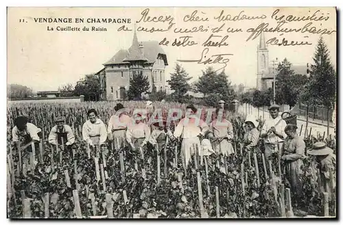 Ansichtskarte AK Folklore Vin Vendange Champagne La cueillette du raisin TOP