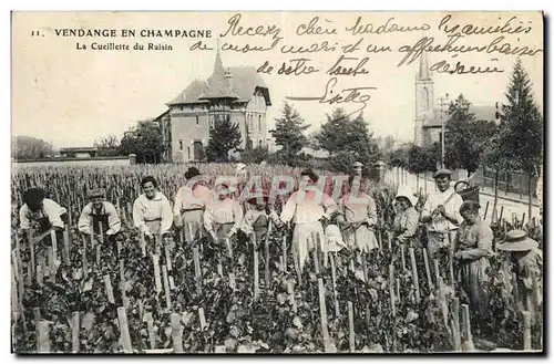Cartes postales Folklore Vin Vendange Champagne La cueillette du raisin TOP