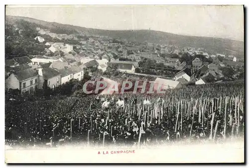 Ansichtskarte AK Folklore Vin Vendange Champagne A la campagne