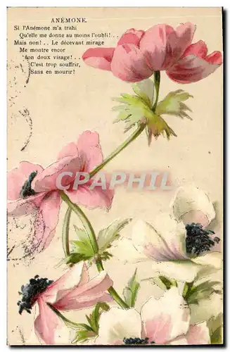 Cartes postales Fantaisie Fleurs Anemone
