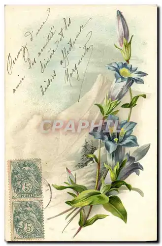 Cartes postales Fantaisie Fleurs