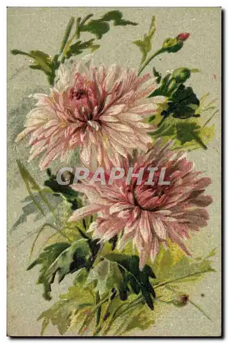 Cartes postales Fantaisie Fleurs