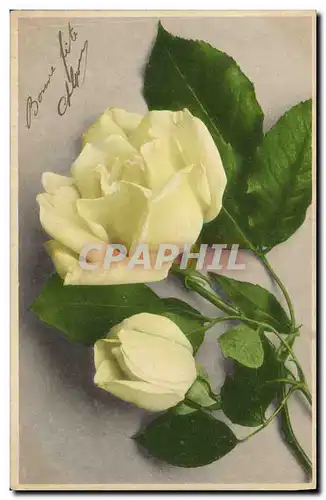 Cartes postales Fantaisie Fleurs