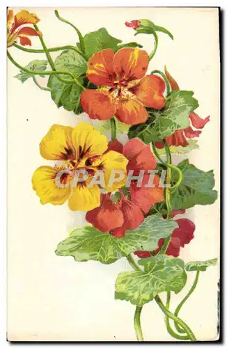 Cartes postales Fantaisie Fleurs