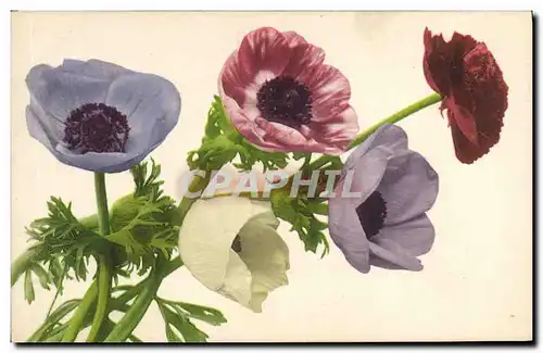 Cartes postales Fantaisie Fleurs