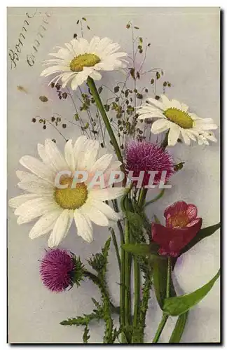 Cartes postales Fantaisie Fleurs