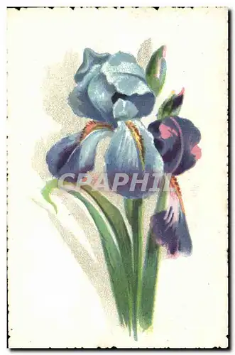 Cartes postales Fantaisie Fleurs