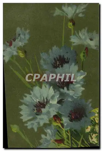 Cartes postales Fantaisie Fleurs