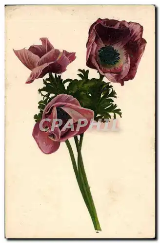 Cartes postales Fantaisie Fleurs