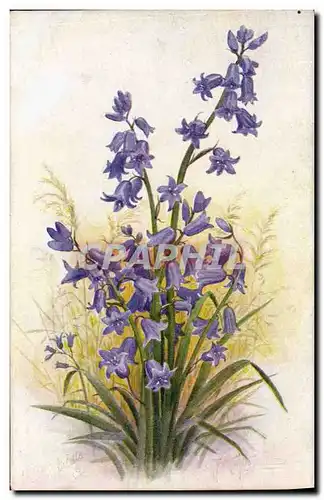 Cartes postales Fantaisie Fleurs