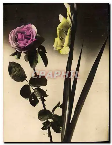 Cartes postales Fantaisie Fleurs