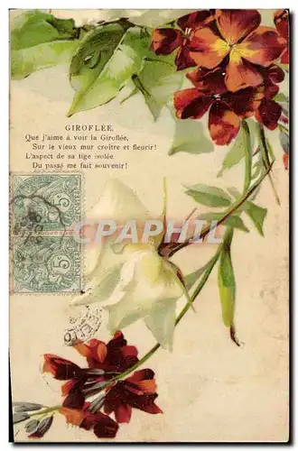 Cartes postales Fantaisie Fleurs Giroflee