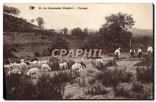 Ansichtskarte AK Folklore Limousin Paysage Paysans Moutons