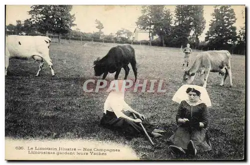 Cartes postales Folklore Limousin Limousines gardant leurs vaches