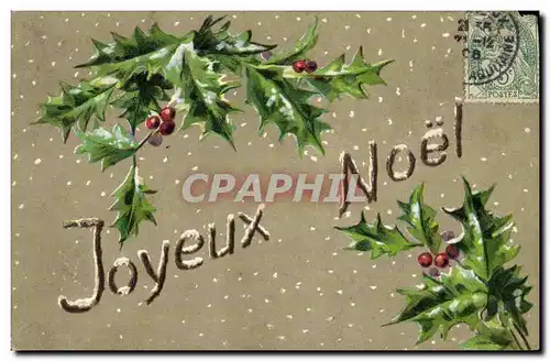 Cartes postales Fantaisie Fleurs Houx Noel