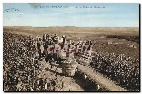 Ansichtskarte AK Folklore Vigne Vin Vendanges Champagne Environs d&#39Epernay