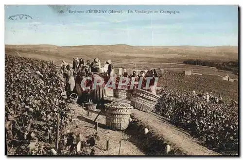 Cartes postales Folklore Vigne Vin Vendanges Champagne Environs d&#39Epernay