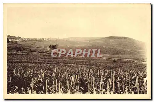 Cartes postales Folklore Vigne Vin Vendanges Champagne Vignoble de Cramant Premier cru de raisins blancs