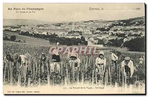 Ansichtskarte AK Folklore Vigne Vin Vendanges Champagne Epernay Le travail de la vigne Le Liage