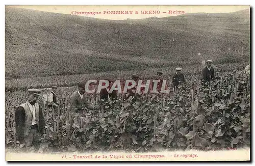 Cartes postales Folklore Vigne Vin Vendanges Champagne Pommery & Greno Reims Travail de la vigne Le rognage
