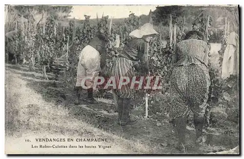 Cartes postales Folklore Vigne Vin Vendanges Champagne Les robes culottes dans les hautes vignes TOP