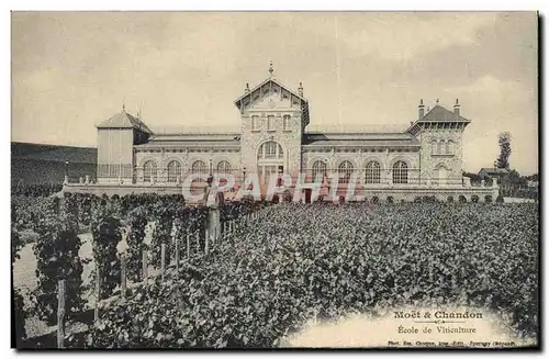 Cartes postales Folklore Vigne Vin Vendanges Champagne Moet & Chandon Ecole de viticulture