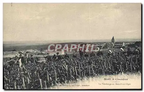 Cartes postales Folklore Vigne Vin Vendanges Champagne Moet & Chandon La vendange a Mesnil sur Oger