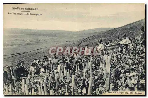 Cartes postales Folklore Vigne Vin Vendanges Champagne Moet & Chandon Les vendanges a Ay Champagne