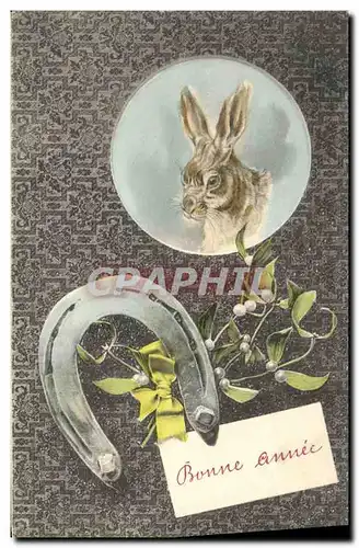 Cartes postales Fantaisie Lapin Fer a cheval Illustrateur