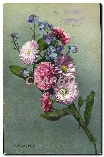 Cartes postales Fantaisie Fleurs Paquerettes