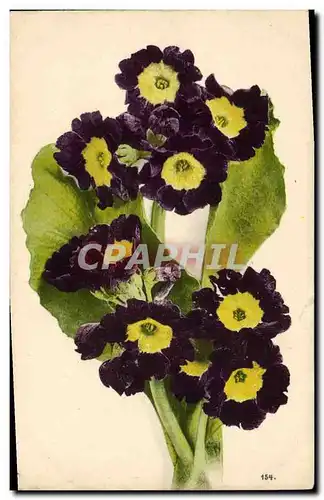 Cartes postales Fantaisie Fleurs