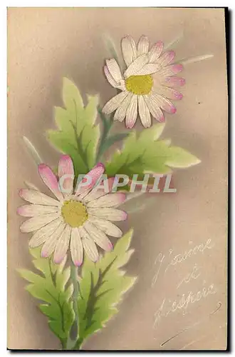 Cartes postales Fantaisie Fleurs