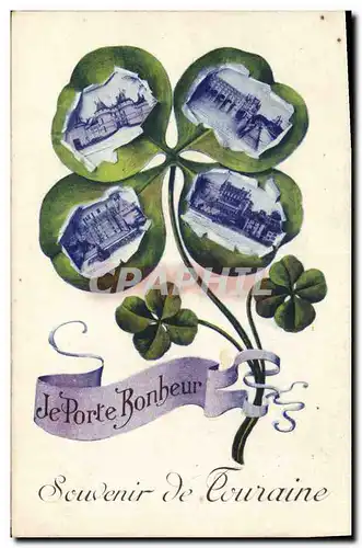 Cartes postales Folklore Souvenir de Touraine Fleurs Chateaux