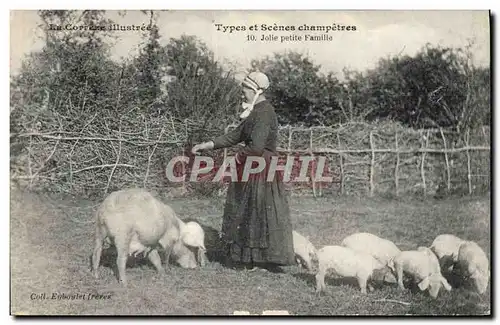 Cartes postales Folklore Jolie petite famille Cochon Porc