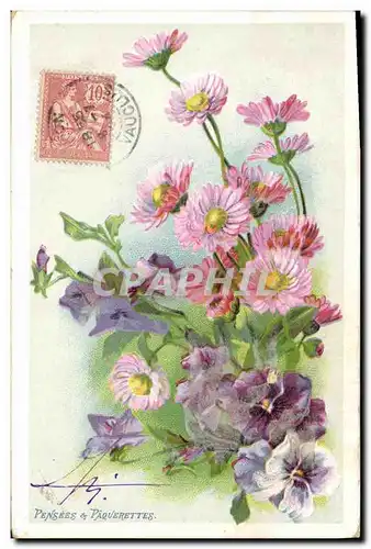 Cartes postales Fantaisie Fleurs Pensees et paquerettes