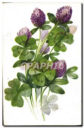 Cartes postales Fantaisie Fleurs