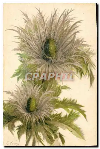 Cartes postales Fantaisie Fleurs