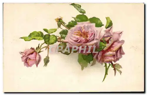 Cartes postales Fantaisie Fleurs