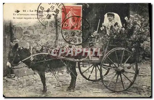 Cartes postales Folklore Limousin Ane Mule