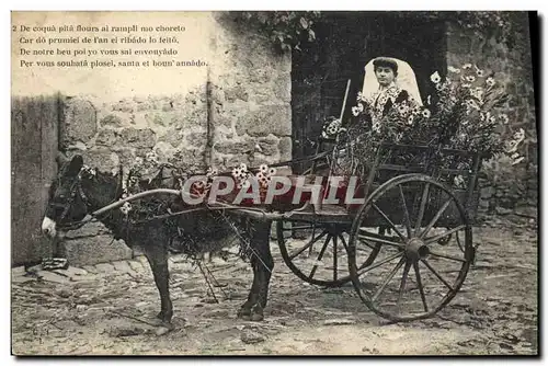 Cartes postales Folklore Ane Mule TOP