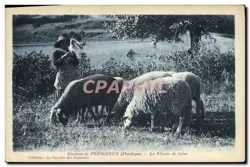 Cartes postales Folklore Environs de Perigueux Dordogne La fileuse de Laine Moutons