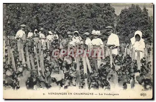 Ansichtskarte AK Folklore Vin Vendange Champagne Les vendangeurs