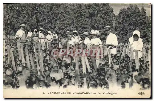 Cartes postales Folklore Vin Vendange Champagne Les vendangeurs