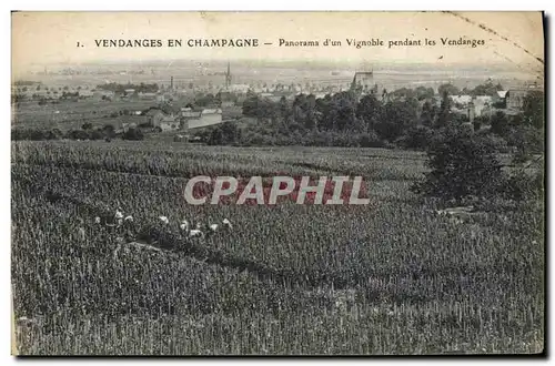 Ansichtskarte AK Folklore Vin Vendange Champagne Panorama d&#39un vignoble pendant les vendanges