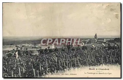 Cartes postales Folklore Vin Vendange Champagne Moet & Chandon La vendange au Mesnil sur Oger