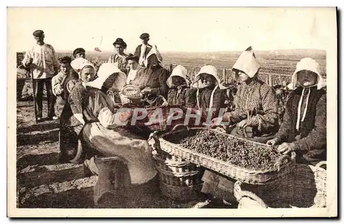 Ansichtskarte AK Folklore Vin Vendange Champagne Vendanges et travail du vin en Champagne