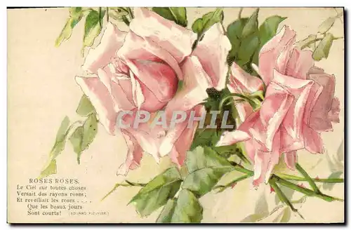 Cartes postales Fantaisie Fleurs Roses roses